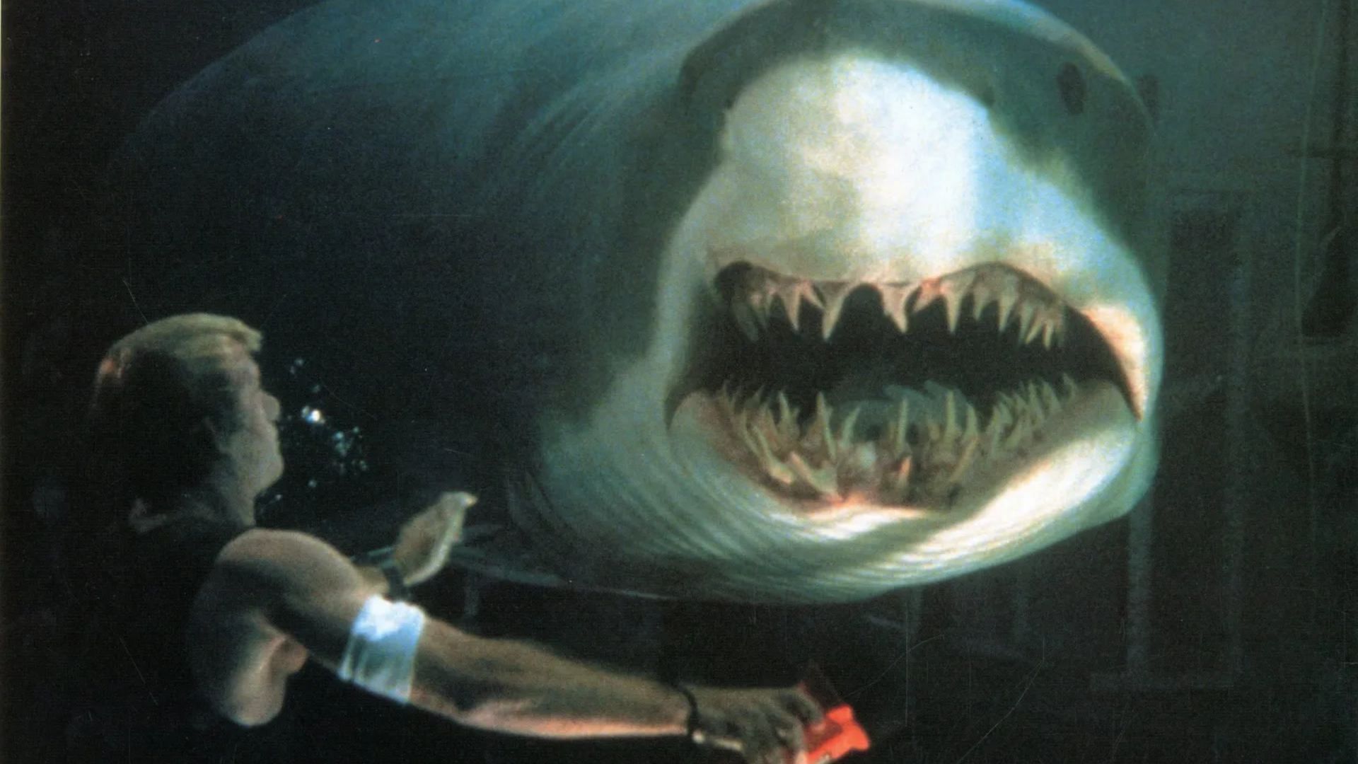 A still from Deep Blue Sea (image via Warner Bros.)